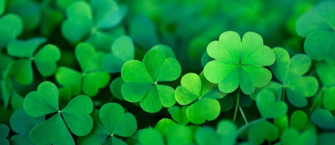 Do you feel lucky? Learnings from near-miss case studies