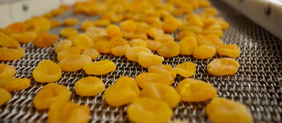 Recent Advances and Innovations in Food Drying Technologies