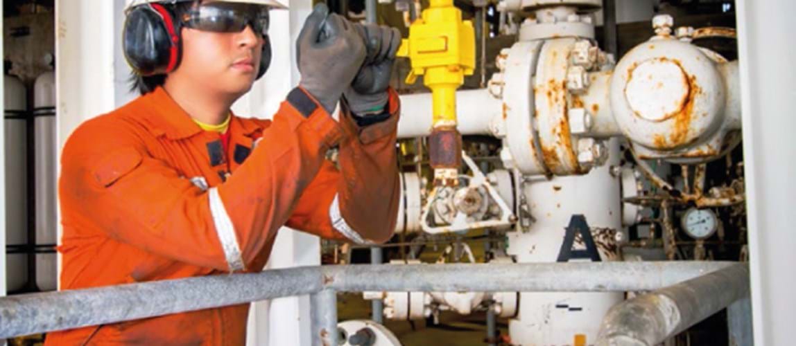 Technical Process Safety Seminar - Applying Functional Safety and Reaction Safety for Safety Cases