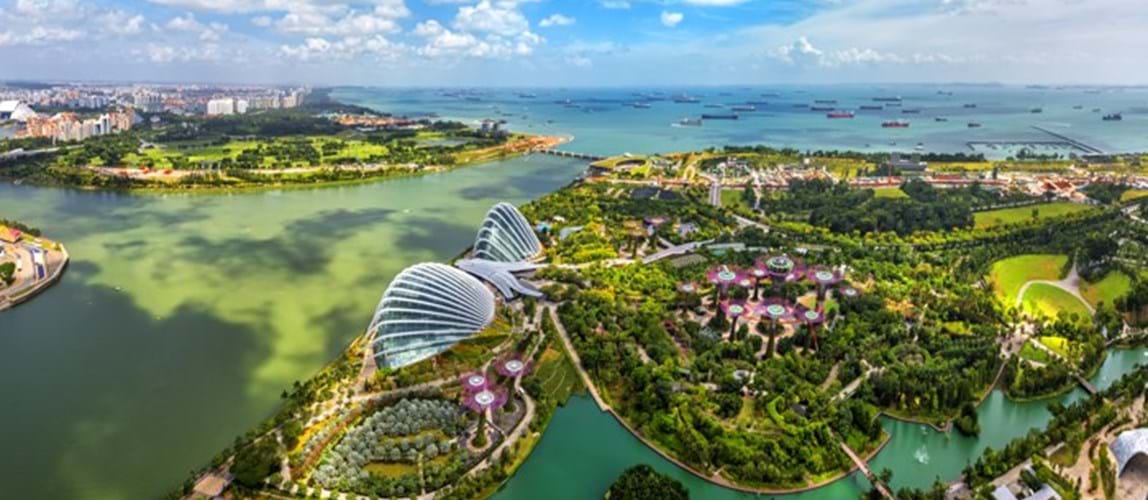 IChemE in Singapore Annual General Meeting 2020