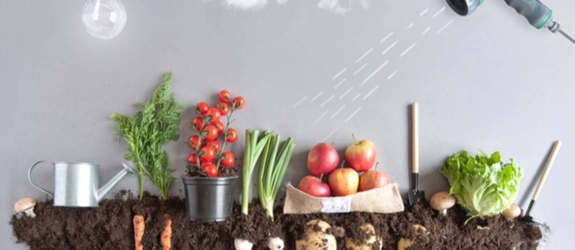 Webinar: The Urban Food-Energy-Water-Waste Nexus: Where Urban Agriculture Meets Organic Waste Management