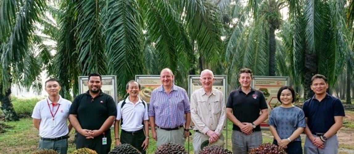 Understanding Palm Oil Visit To Carey Island Icheme