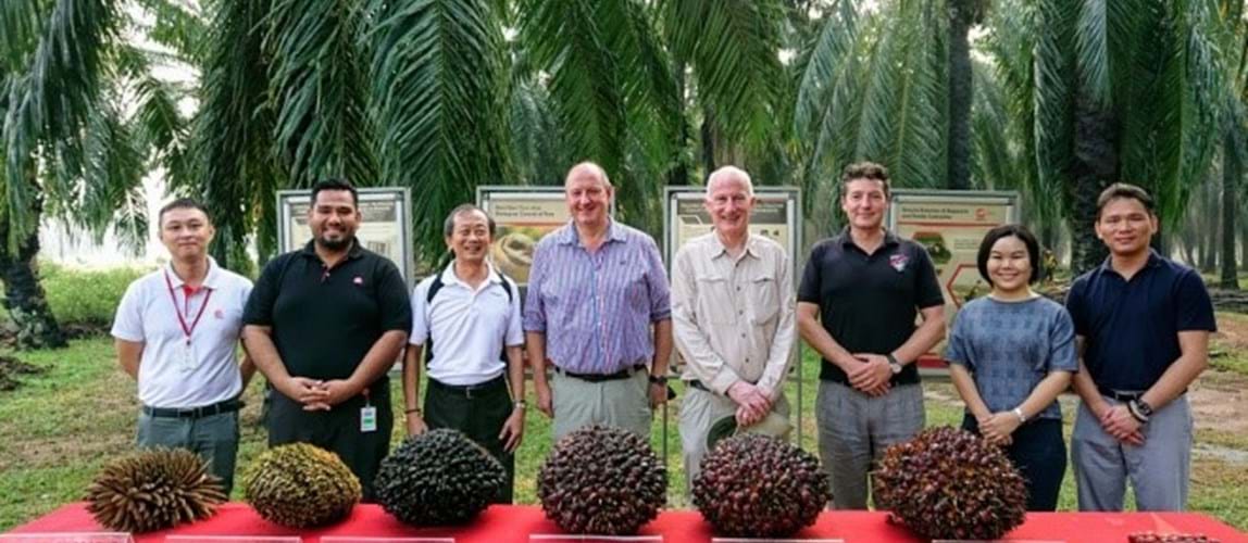 Understanding Palm Oil Visit To Carey Island Icheme