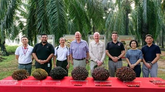 Understanding Palm Oil (Visit to Carey Island)