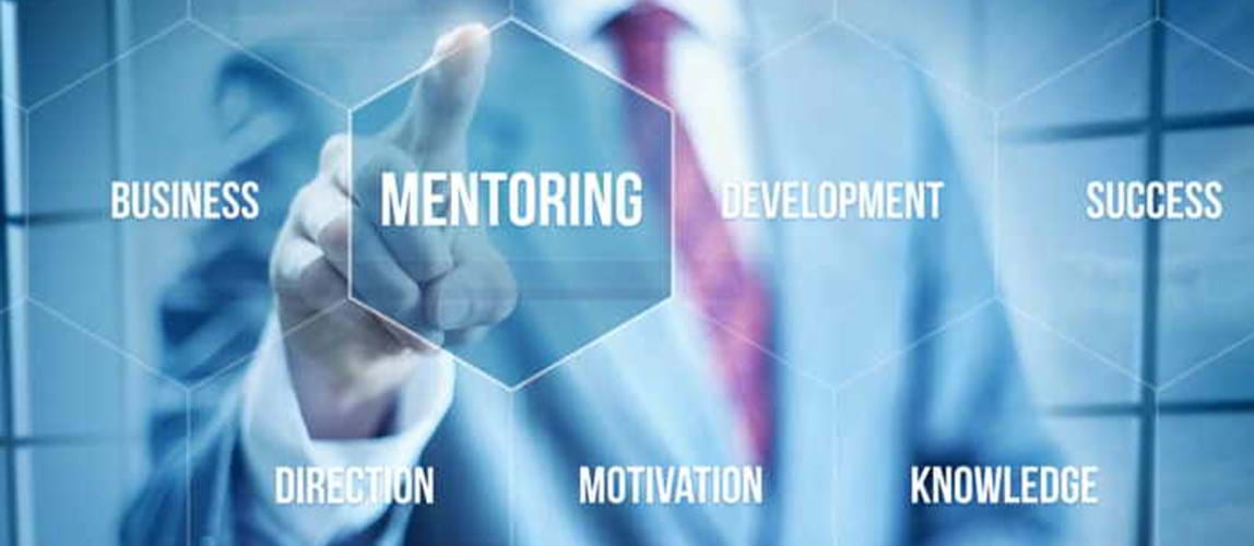 Training Session for Mentors