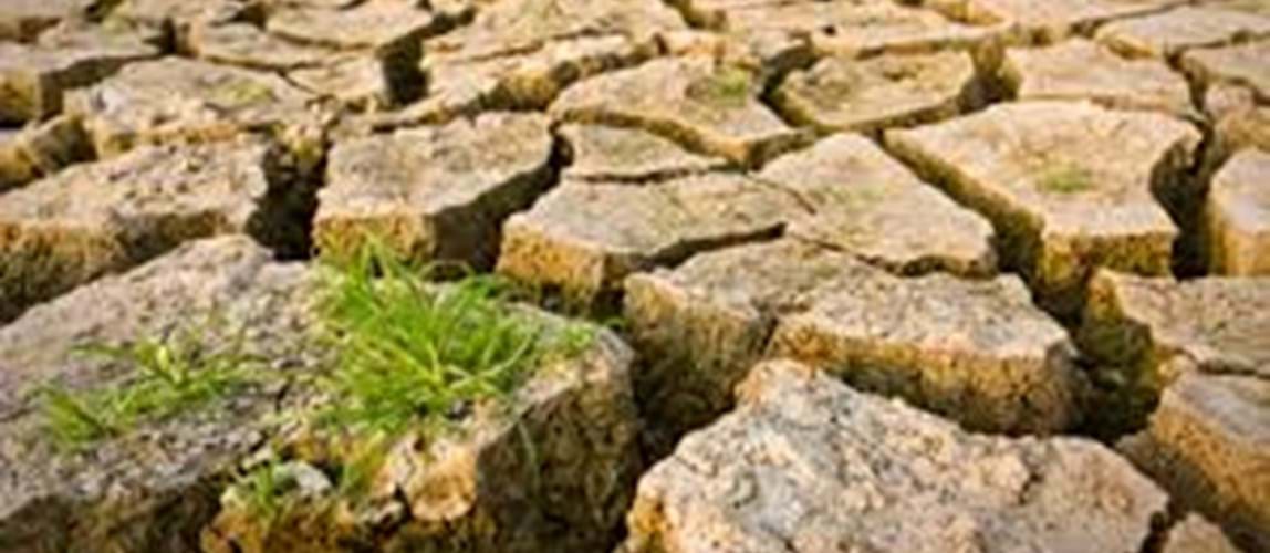 Webinar: Climate Change Challenges