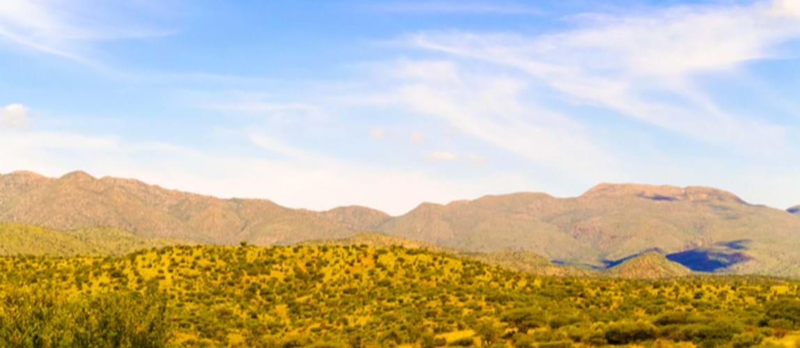 Webinar: 50 Years of Potable Reuse in Windhoek