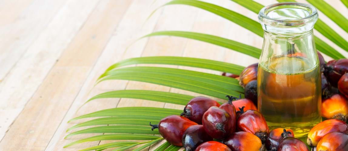 Webinar: Potential and Feasibility of Bio-Methane in Palm Oil Industry