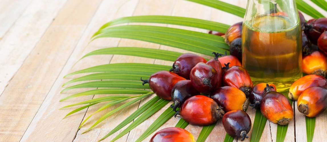 Webinar: Potential and Feasibility of Bio-Methane in Palm Oil Industry