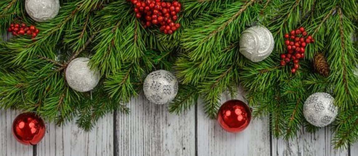Wellington Christmas Networking