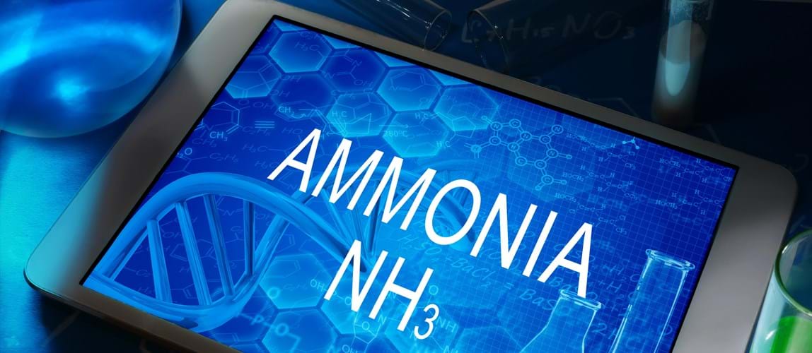 Webinar: The Role of Ammonia in a Future Carbon-Free Energy Landscape								
