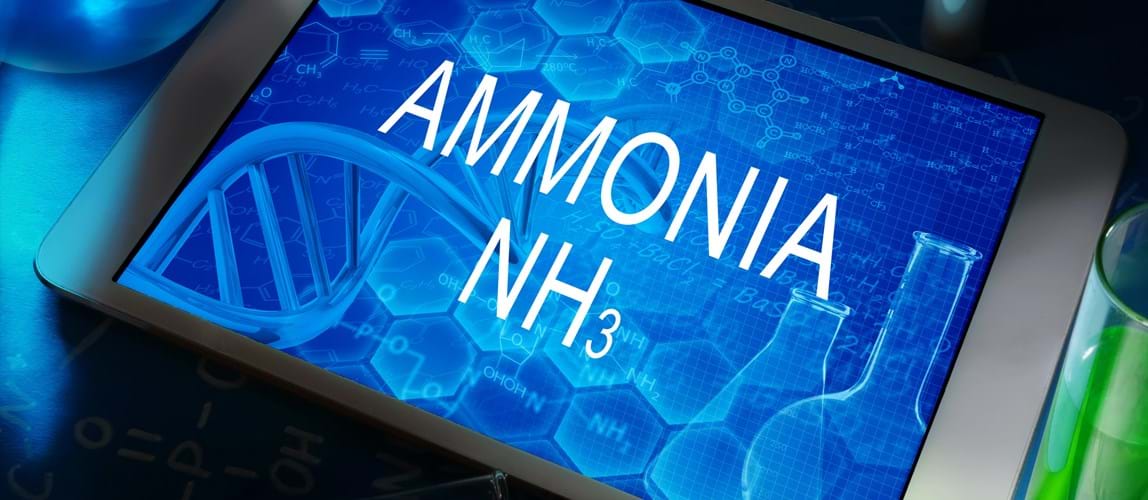 Webinar: The Role of Ammonia in a Future Carbon-Free Energy Landscape