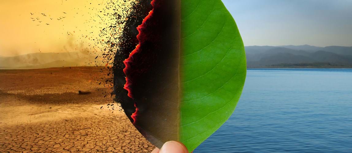 Webinar: Water Special Interest Group Annual Meeting 2021