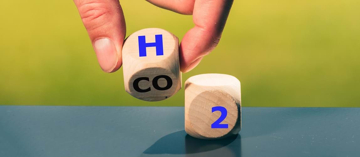 Virtual Conference: Safe Net Zero 2021 - Hydrogen