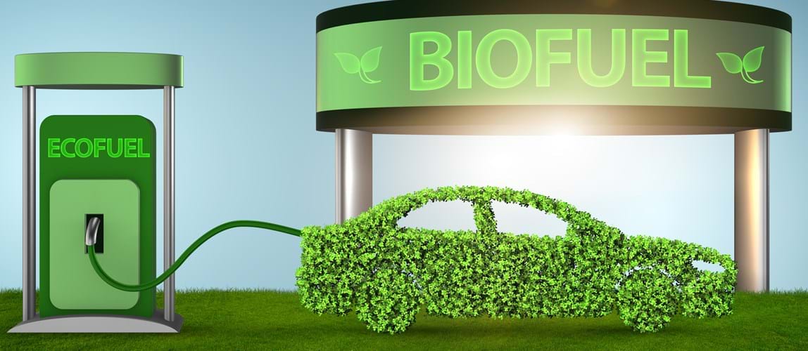 Webinar: Renewables