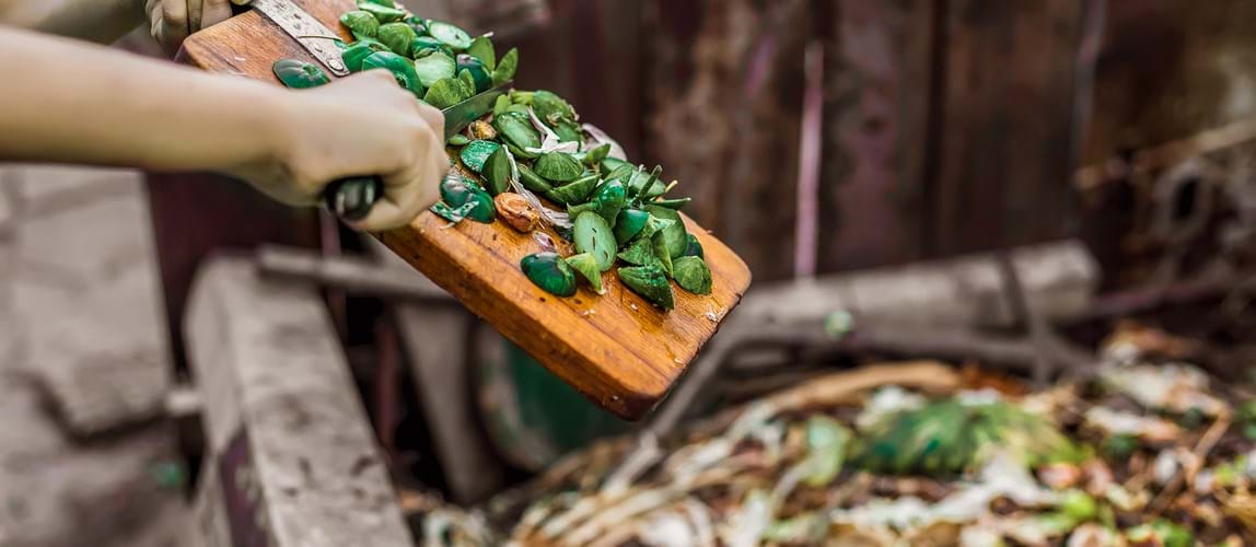 Webinar: Food Waste Valorisation Methods in Malaysia and its Potential in Food Waste Reduction Strategy