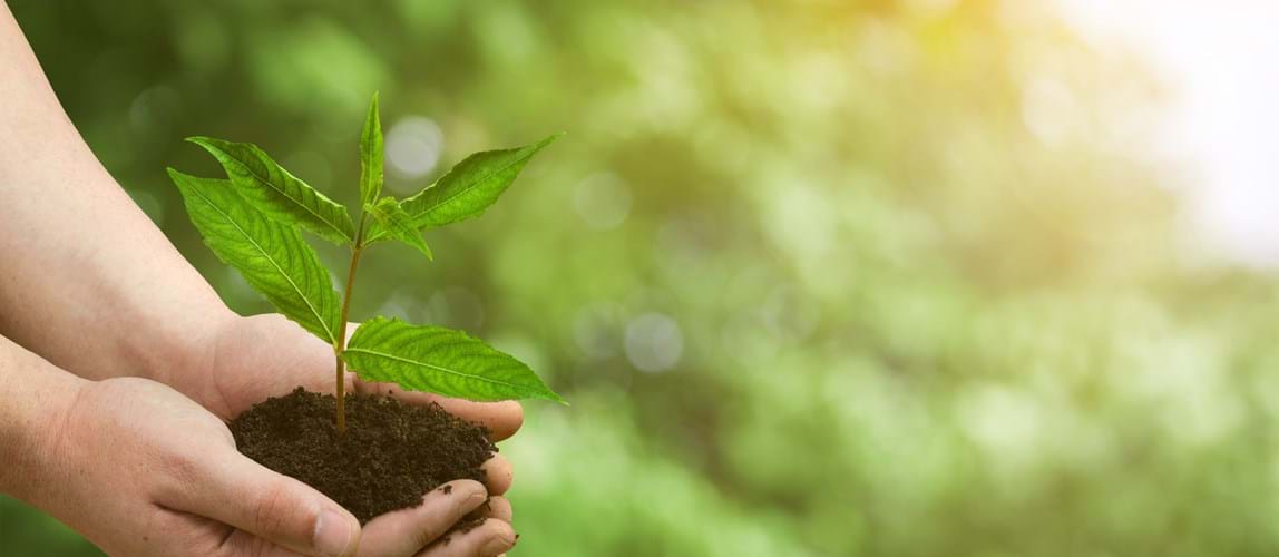 Webinar: Biosurfactants