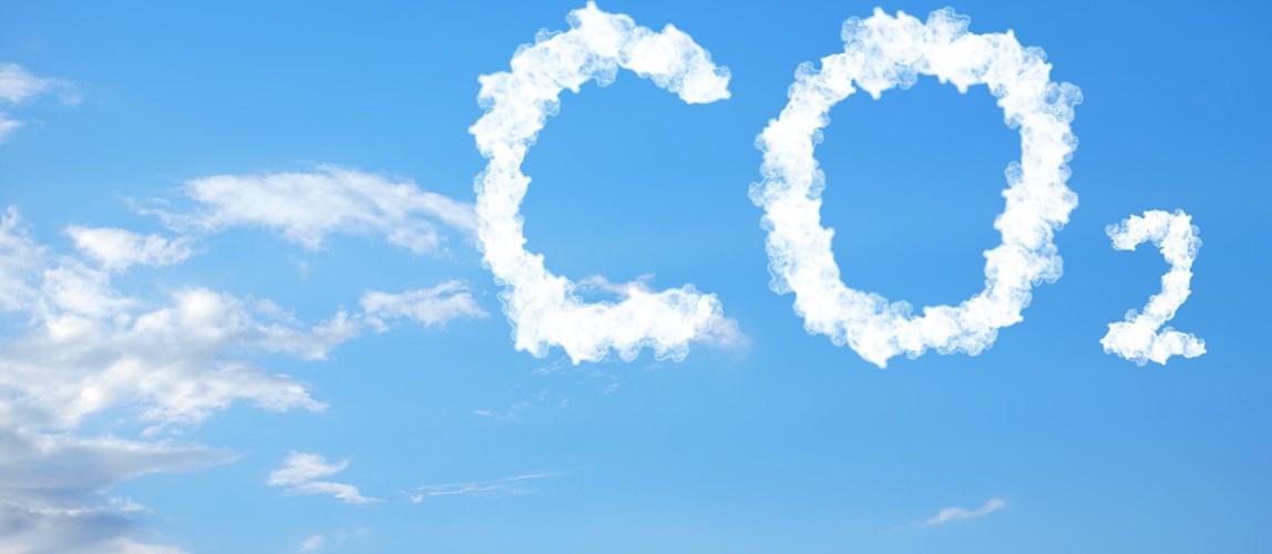 Webinar: Cements and Carbon Dioxide