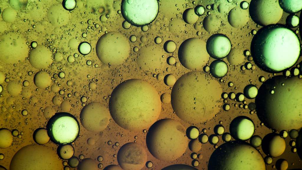 PHOODSEP: Challenges and Innovation in Pharmaceutics and Novel Foods Downstream Processing