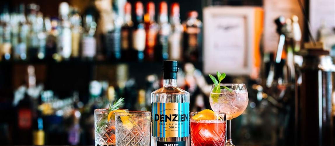 Visit to Denzien Gin Distillery