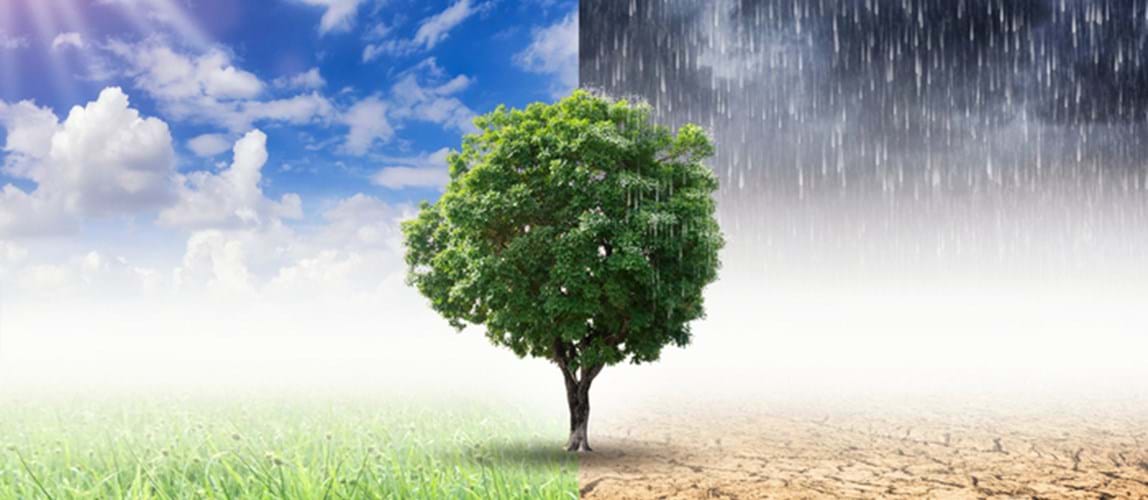 Online Conference: Water Climate Discussion