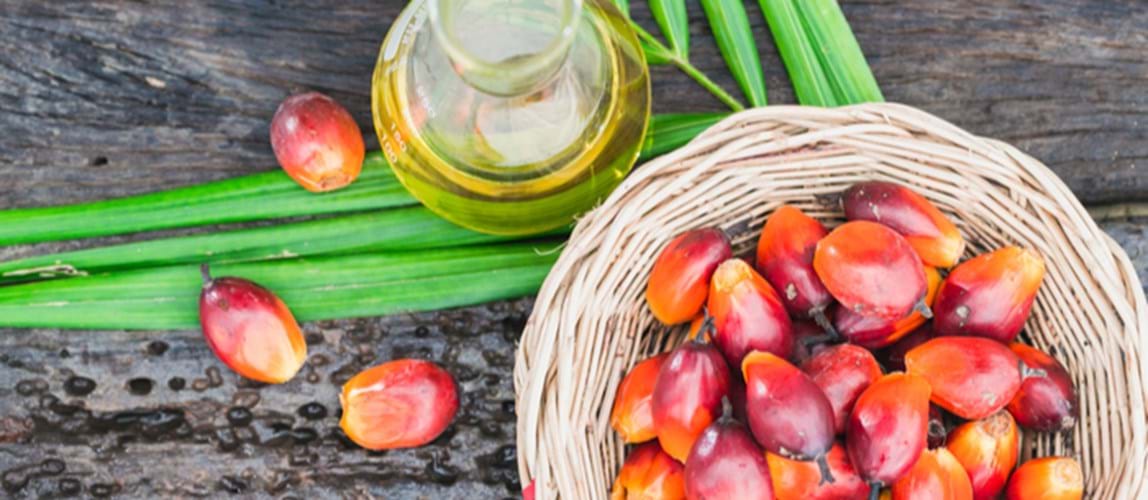 Webinar: Malaysian Palm Oil Sustainability Certification Effort through MSPO - Getting the Right Fact on Palm Oil