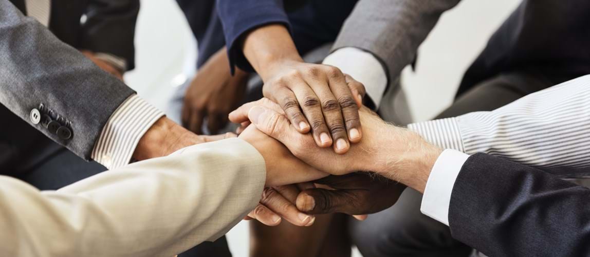 Webinar: Fellows Function