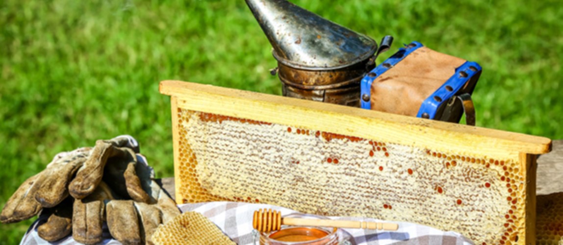 Bees-R-Us Visit and Year End Get Together