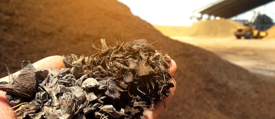 Webinar: Catalytic Upgrading of Palm-based Residues to Valuable Products