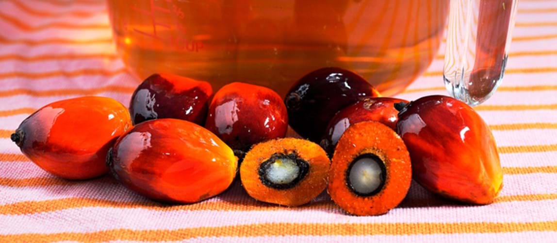 Webinar: New Extraction Technology for Crude Palm Oil Extraction