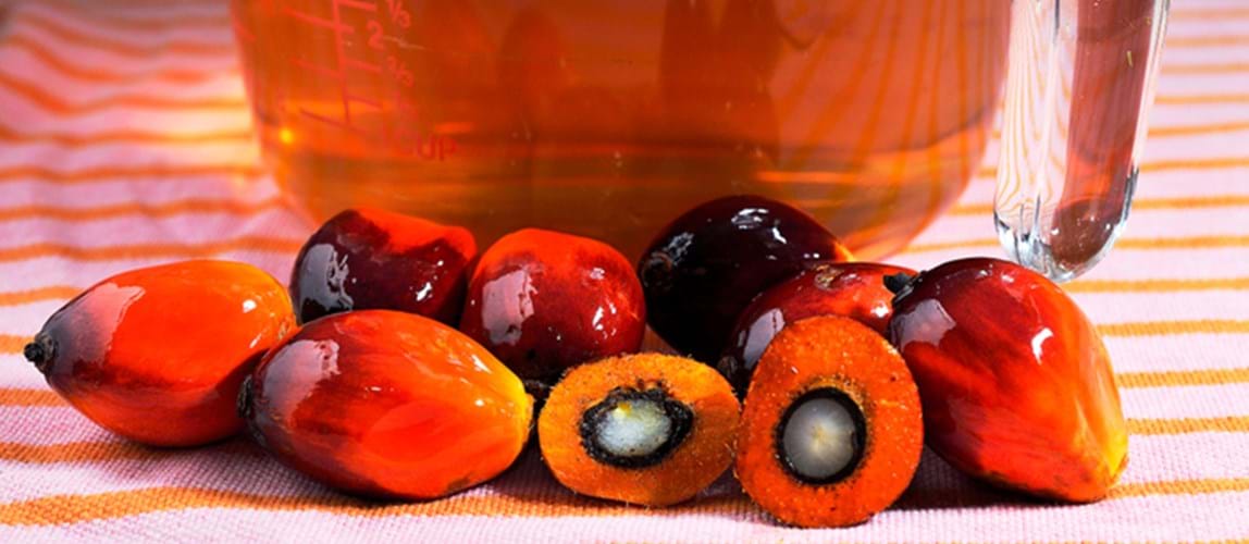 Webinar: New Extraction Technology for Crude Palm Oil Extraction