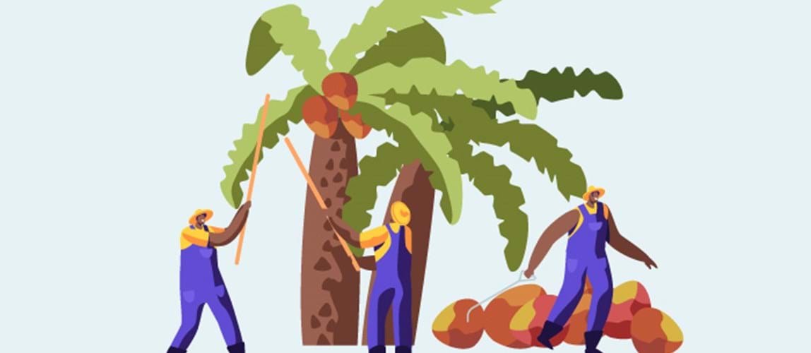 Webinar: Responsible Palm Oil Processing