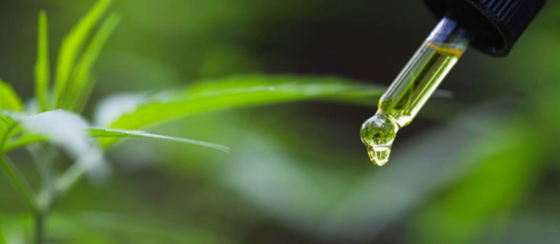 Webinar: Improving Palm Oil Extraction Productivity and Reducing Palm Oil Losses