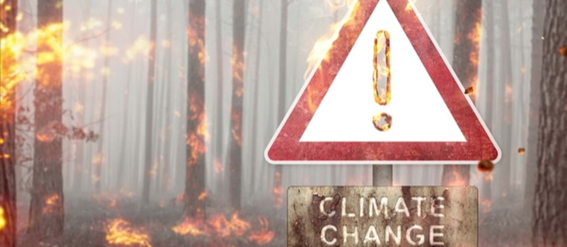 Webinar: Preparedness in Addressing Climate Hazards in Malaysia – NGO Perspective