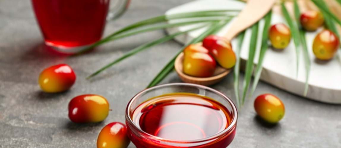 Conference: OFIC 2022 - Boosting the Potential of Oil Palm and Its Products