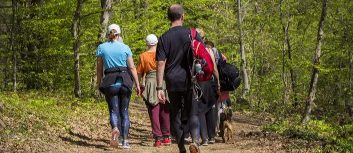 Netwalking with the London and South East Coast Member Group