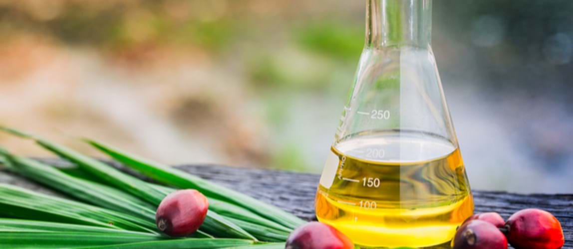Webinar: Conversion of Refinery By-product PFAD to Biodiesel by Catalytic and Photocatalytic Processes