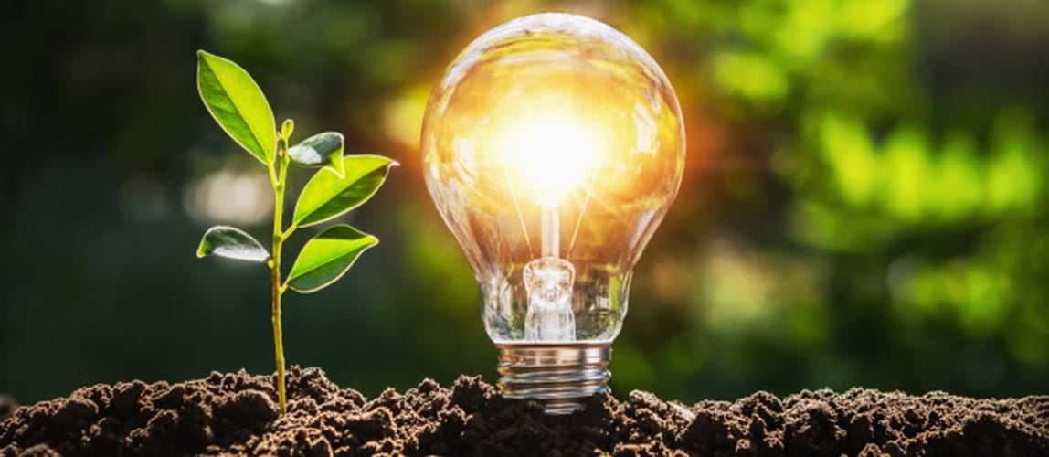 Rehabilitation and Reuse of Mine Waste: A Sustainable Perspective