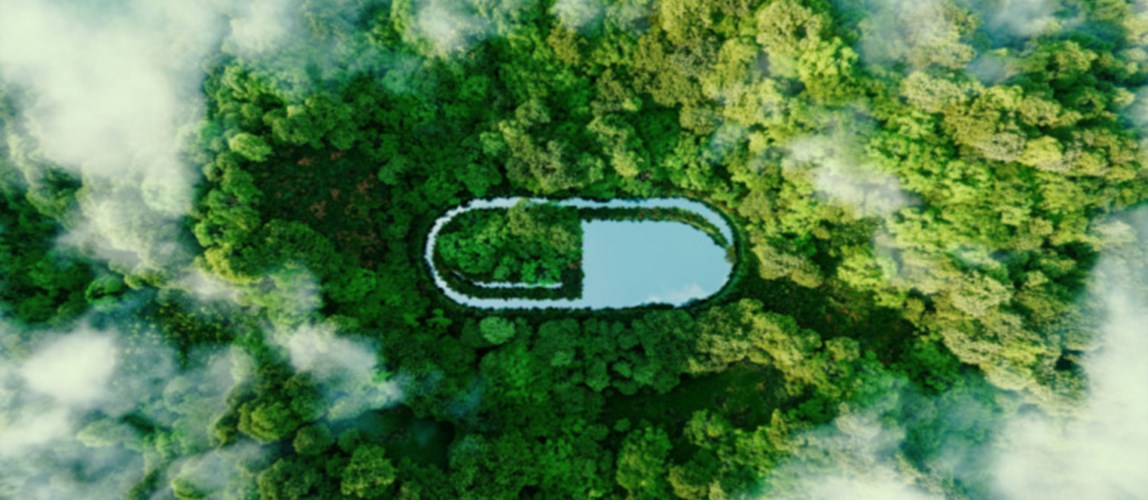 Webinar: A Guide to Net Zero