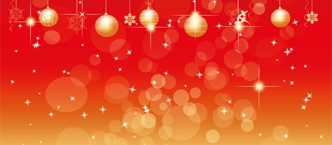 Wellington Christmas Networking 2022