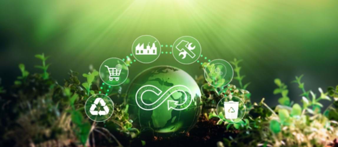 Webinar: Circular Economy - Exploring the Industry Symbiosis Within and Outside the Palm Oil Industry