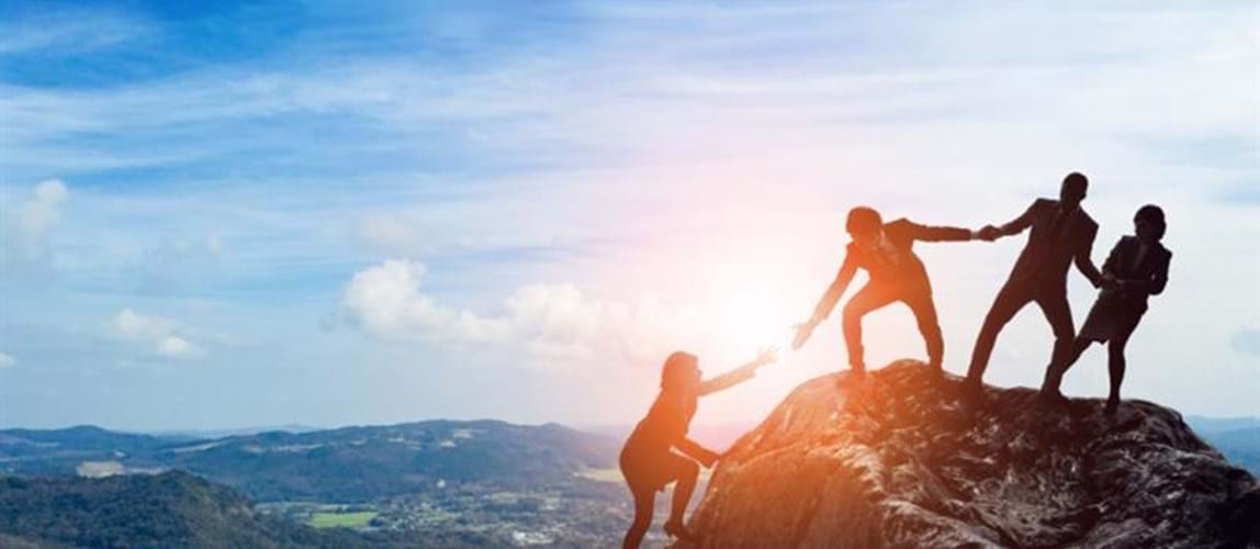 Develop, Optimise and Flourish