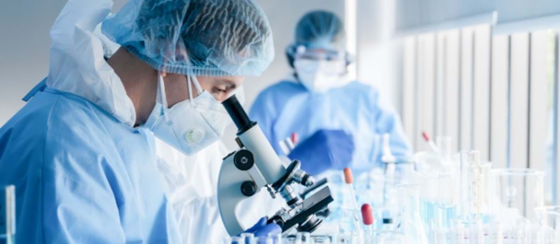 Webinar: PhD and Academia