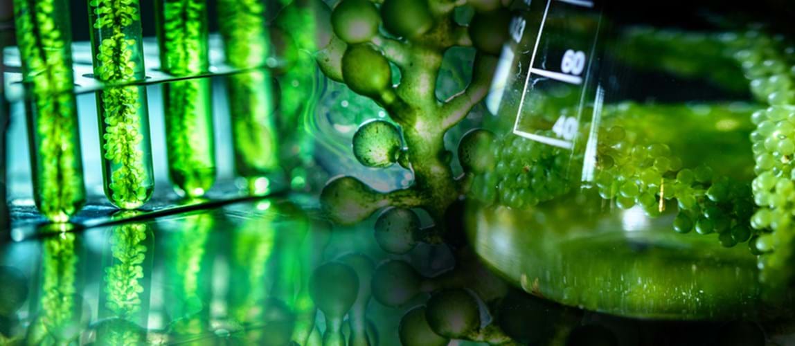 Webinar: Decarbonising R&D Real Estate Assets