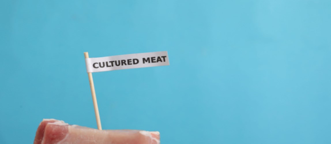 Cultured Meat: A New Era in Food Bioprocessing