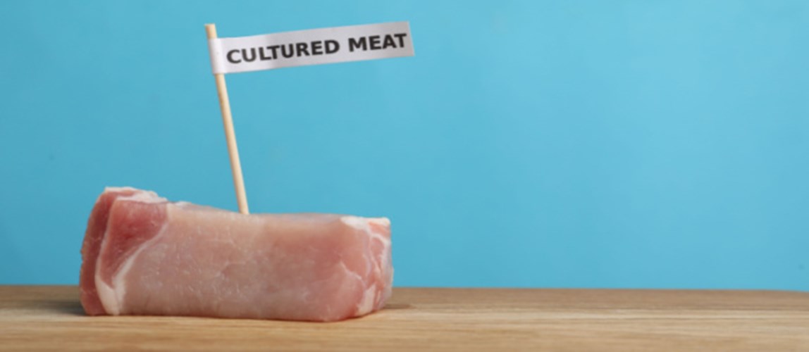 Cultured Meat: A New Era in Food Bioprocessing 2
