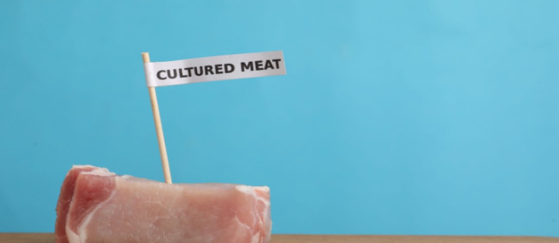 Cultured Meat: A New Era in Food Bioprocessing 2