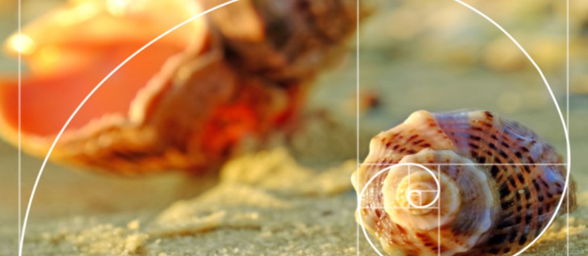 Webinar: Nature Inspired Methods for Optimisation in Process Engineering