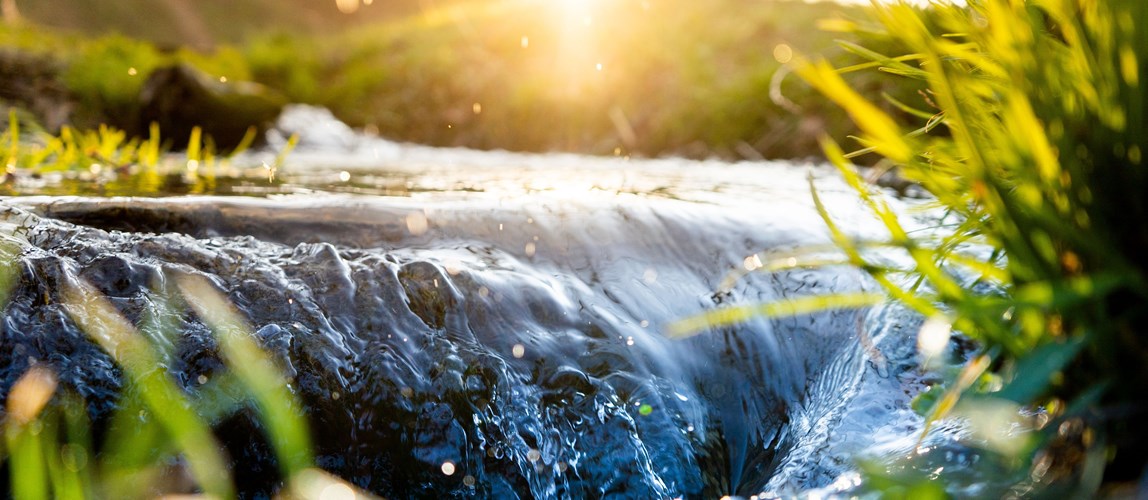 Water Special Interest Group Annual Meeting 2023