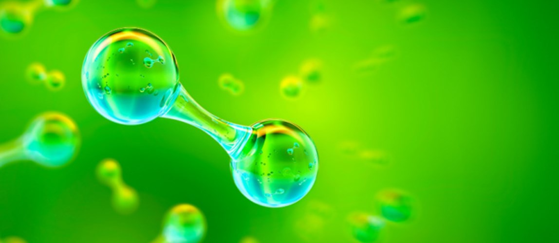 Hydrogen Enriched Syngas Production Derived from Co-gasification of Palm Oil Biomass and Plastic Waste Mixtures
